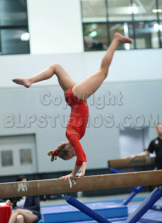 HSM_4635