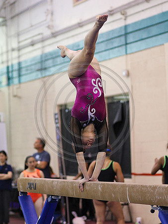 HSM_5730