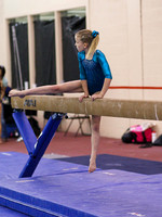 HSM_6617