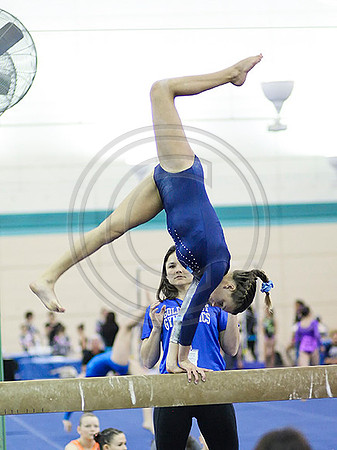 HSM_0002