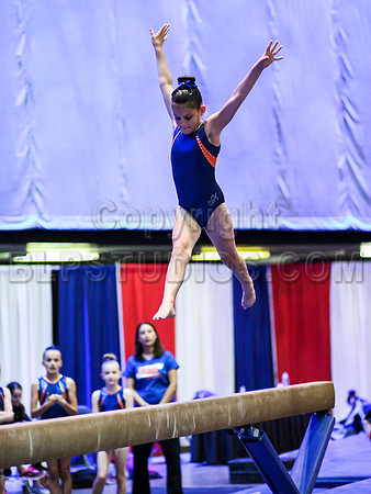 HSM_3323