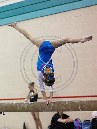 HSM_0980