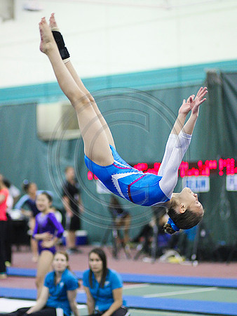 HSM_1536