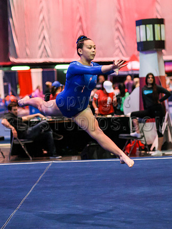 HSM_1077