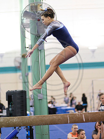 HSM_0017