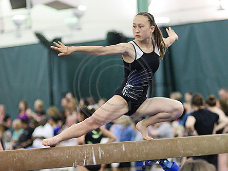 HSM_9201