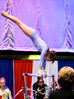 HSM_1471