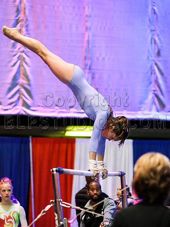 HSM_1471