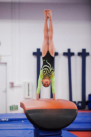 _RFJ3515