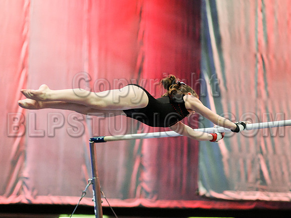 HSM_1205