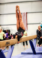 HSM_0550