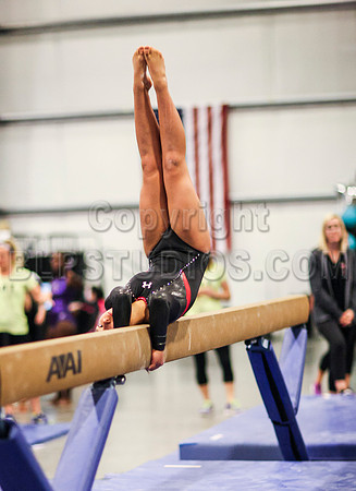 HSM_0550