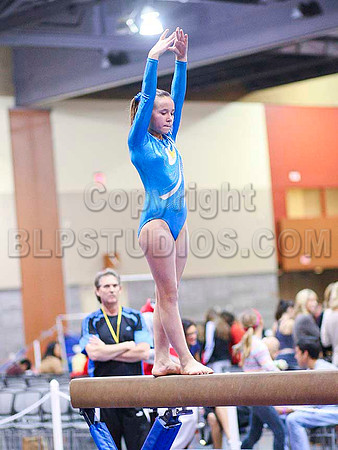 TAZ21312