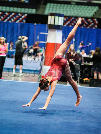 HSM_0919
