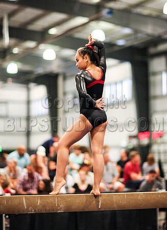 HSM_0582