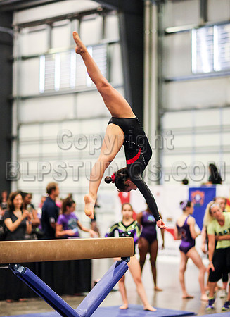 HSM_0593