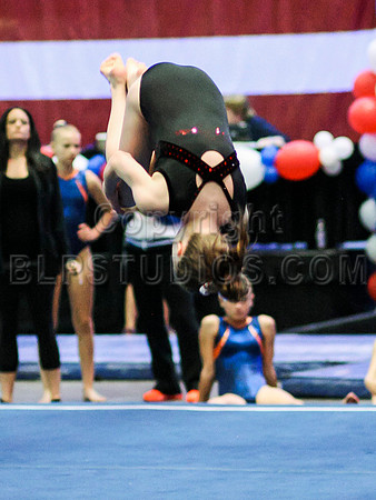 HSM_0594