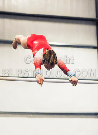BEC_0017