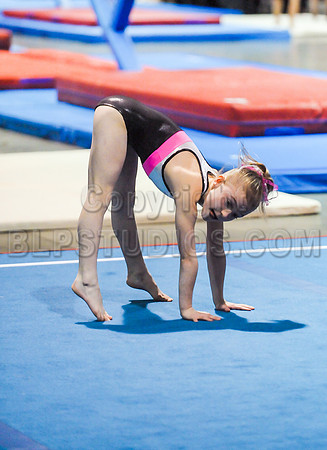 BEC_0117