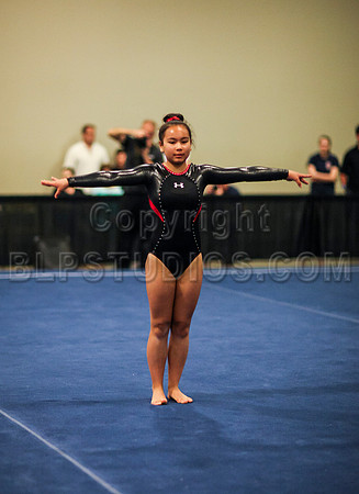 HSM_1195