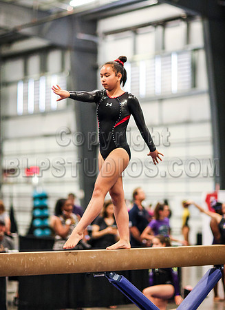 HSM_0566