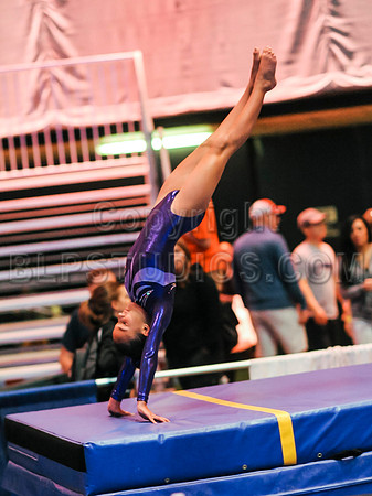 RFJ_0223
