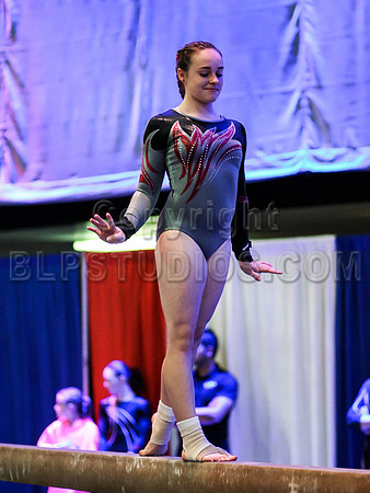 HSM_1555