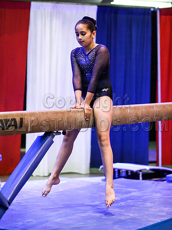 HSM_0439
