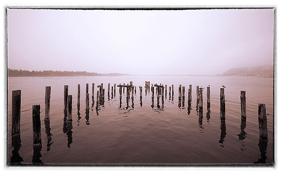 _DSC2494_120_12X24