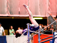HSM_4548