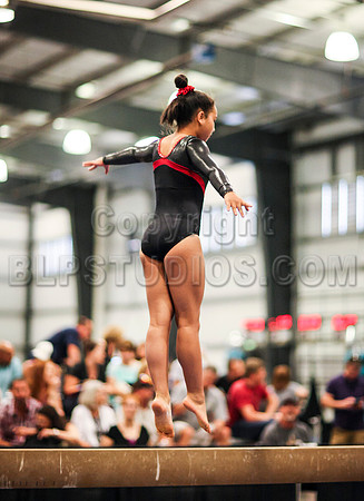 HSM_0585