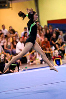 HSM_4453