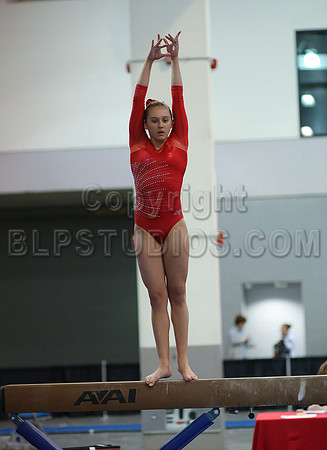 HSM_4587