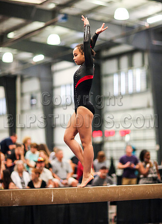 HSM_0577