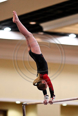 TAZ20079