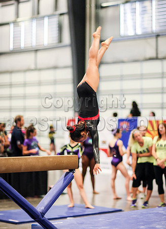 HSM_0594