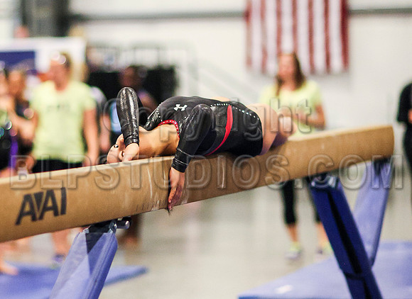 HSM_0548