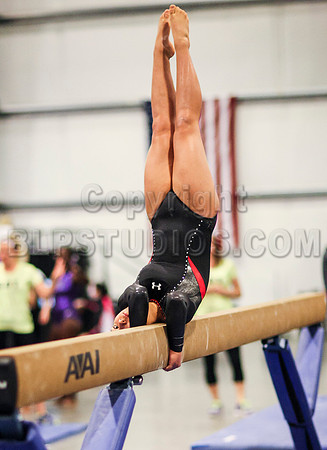 HSM_0551