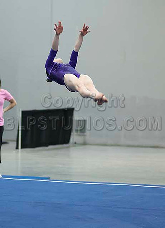 HSM_6461