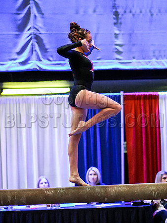 HSM_0884