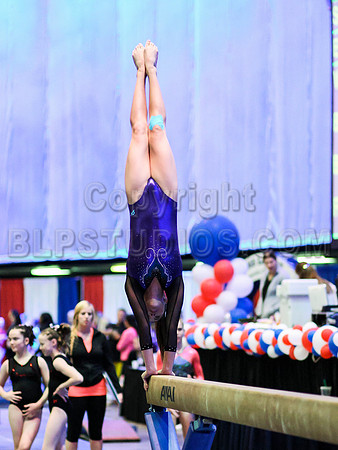 HSM_0231