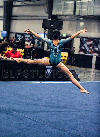 BEC_0134