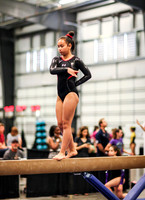 HSM_0569