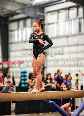 HSM_0569