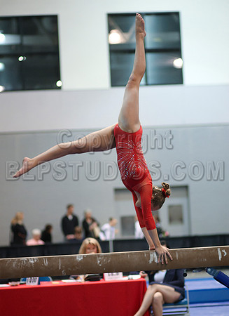 HSM_4601