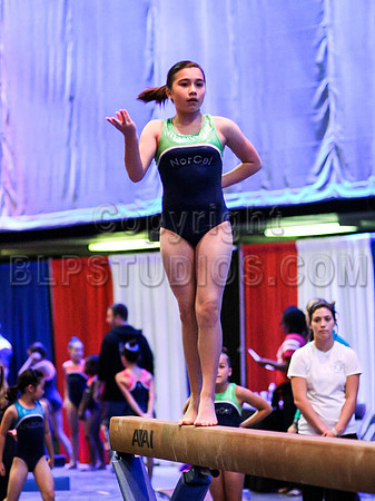HSM_1696
