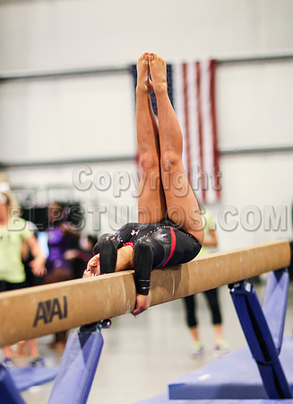HSM_0549