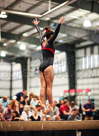 HSM_0584