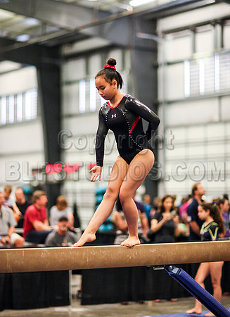 HSM_0571