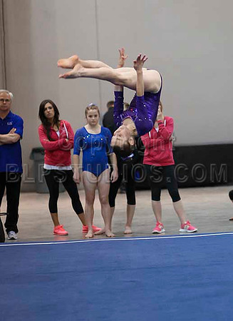 HSM_6495